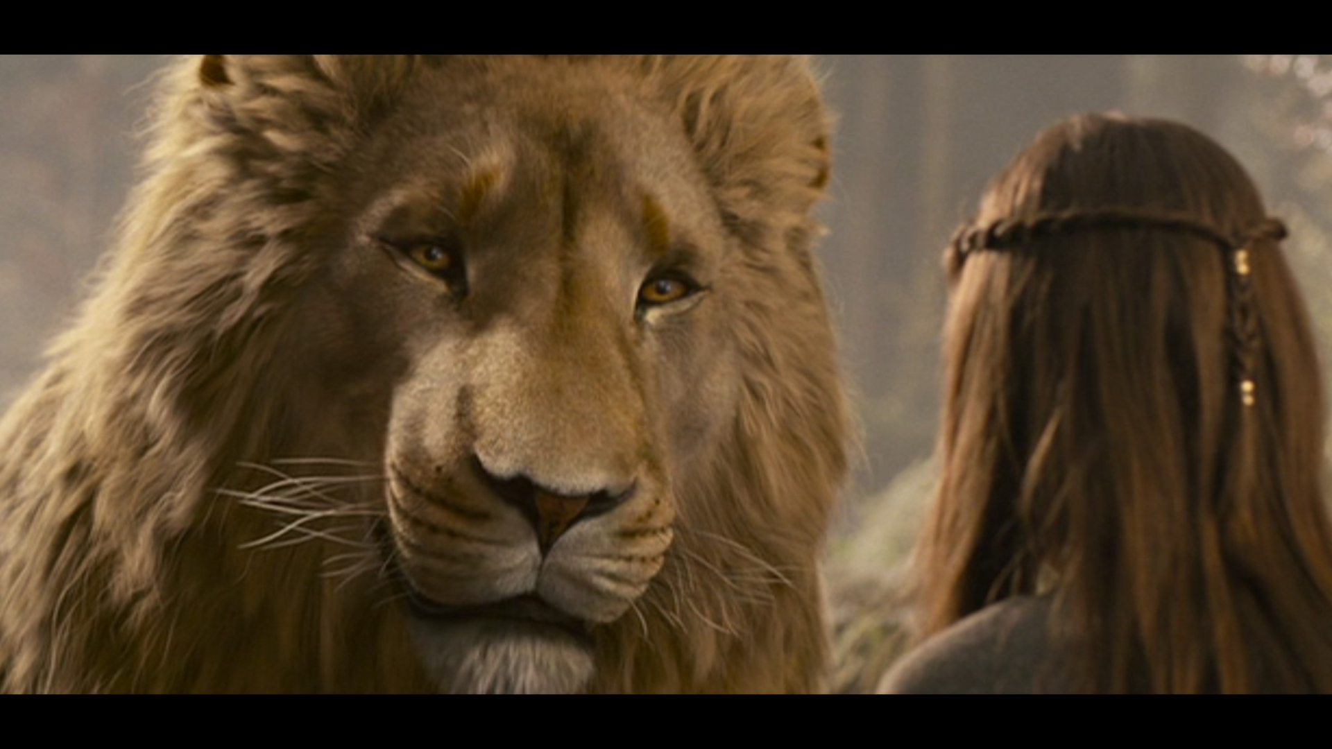 Denis Scolan, currently Head of Compositing at The Yard VFX, previously worked on The Chronicles of Narnia : The Prince Caspian and was in charge of 2D on this feature film.