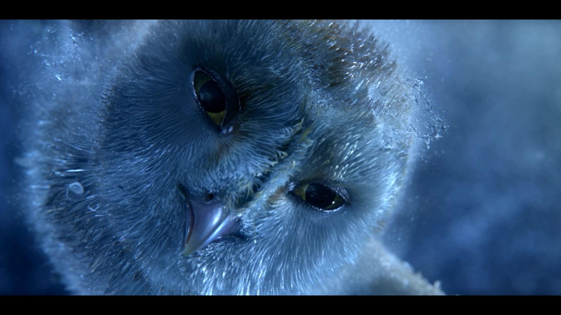 Denis Scolan, currently Head of Compositing at The Yard VFX, worked on the development of Deep Compositing technology while working on 'Gardians of Gahoole'.