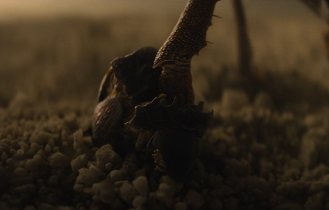 For Predator Badlands, France VFX studio The Yard designed and animated the opening creatures of the film